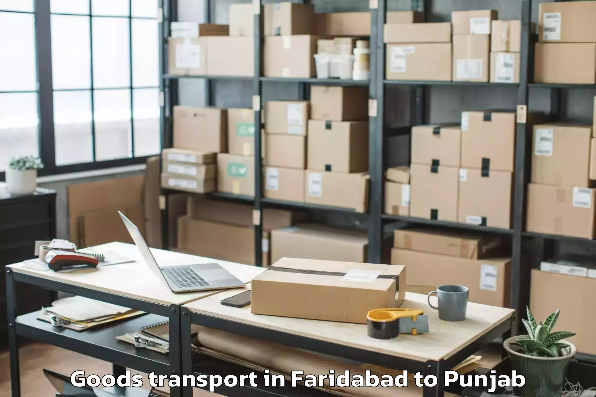 Top Faridabad to Guru Nanak Dev University Amri Goods Transport Available